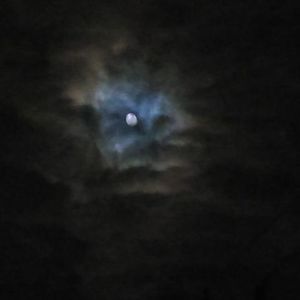 Meet your Posher, Ben